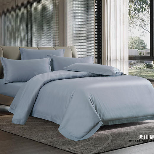 鑫缘 精品全棉斜纹四件套 DMJ2418 商品图2