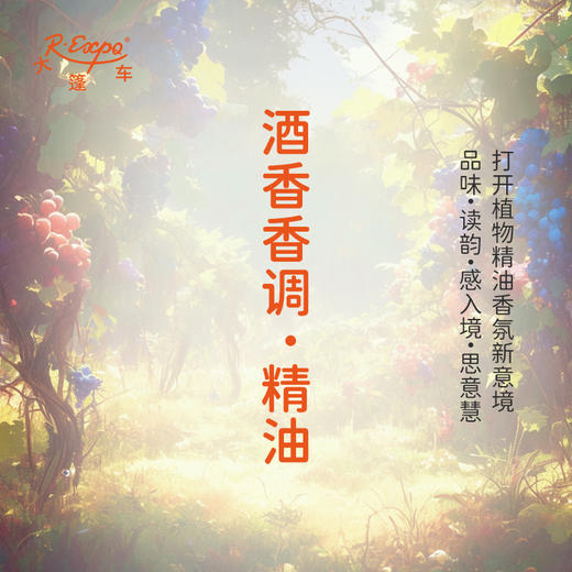酒香香调·精油 植物精油香氛 适用香水 护肤洗护产品 大篷车精油 商品图0