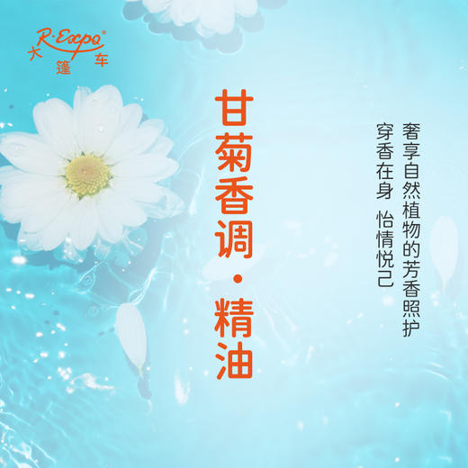 甘菊香调·精油 植物精油适用香水护肤洗护产品空间香氛大篷车精油 商品图2