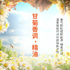甘菊香调·精油 植物精油适用香水护肤洗护产品空间香氛大篷车精油 商品缩略图1