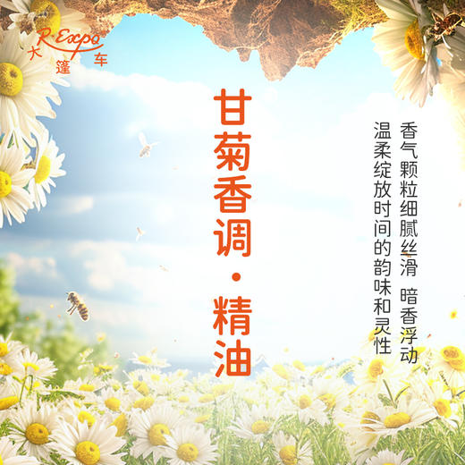 甘菊香调·精油 植物精油适用香水护肤洗护产品空间香氛大篷车精油 商品图1