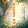 白沉香香调·精油植物精油适用香水护肤洗护产品空间香氛 大篷车精油 商品缩略图0