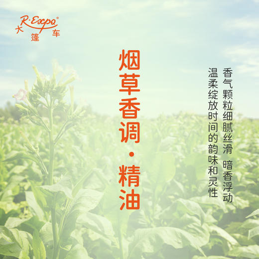 烟草香调·精油植物精油适用香水护肤洗护产品空间香氛 大篷车精油 商品图1