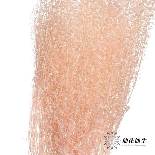 干花 | 小扇叶樱花粉 商品图3