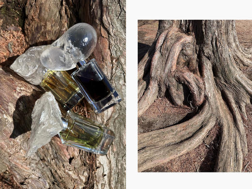 QIUHAO设计师品牌香水风起之时无人之岛拥抱之爱 商品图0