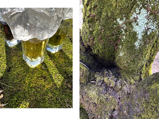 QIUHAO设计师品牌香水风起之时无人之岛拥抱之爱 商品图3