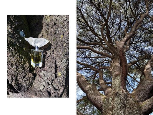 QIUHAO设计师品牌香水风起之时无人之岛拥抱之爱 商品图2