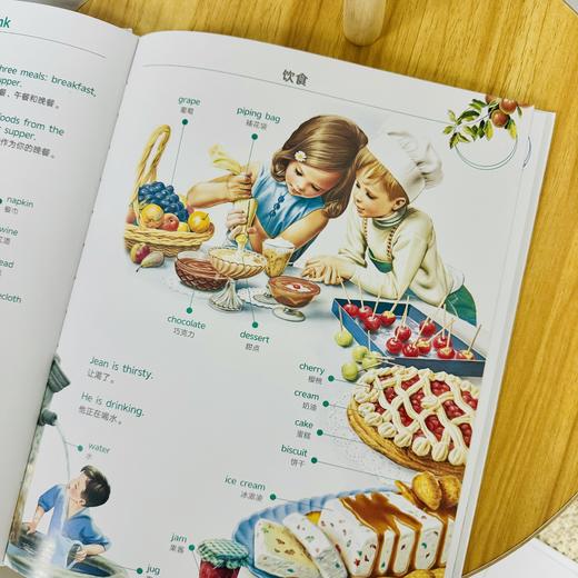 【可点读】玛蒂娜双语词汇图画书：让孩子轻松记住超1000个基础词汇的有声双语图典！使用简单0门槛（支持小达人） 商品图6