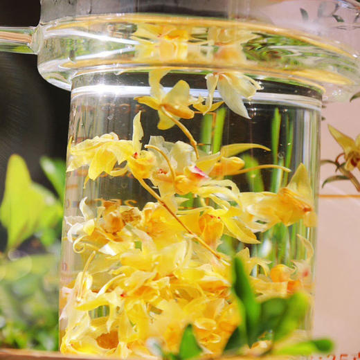 雲巅源府新鲜铁皮石斛条 250g/套 配手提袋 赠1盒25g铁皮石斛花 商品图7