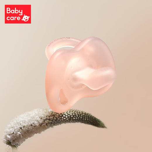 Babycare 新生儿咬胶-安抚奶嘴 M佩里格（紫） RWC003-02A 商品图4