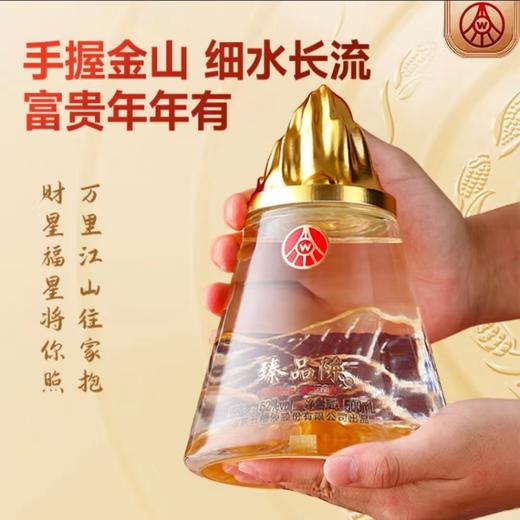 【宜宾五粮液出品】五粮液江山万里·臻品陈酒 浓香型白酒 52%vol 商品图4