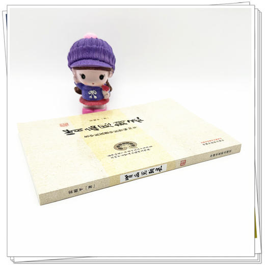 肾病思辨录：名中医沉潜中医肾病30年 雷根平 著 中国中医药出版社 商品图2