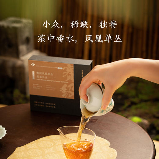 赛级单丛茶 | 顶级凤凰单丛 独特香型 斩获三大奖项 古树头摘 手工焙茶 秒杀活动买一送一 商品图1