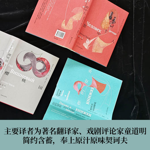 套子里的人：契诃夫文集 商品图2