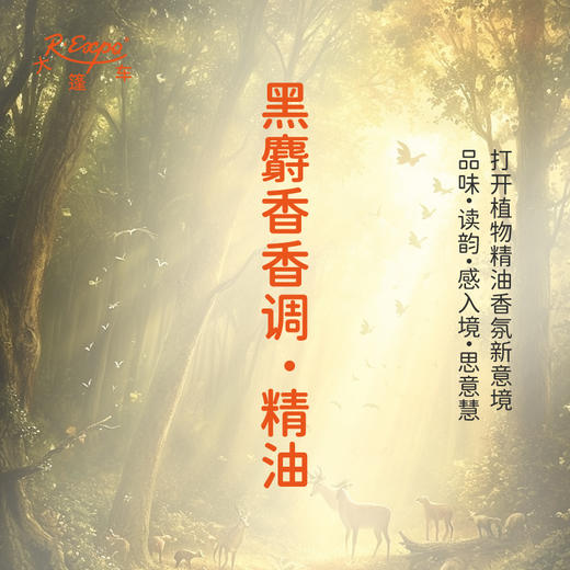 黑麝香香调·精油 香氛香调精油适用香水油护肤品护体香大篷车精油 商品图0