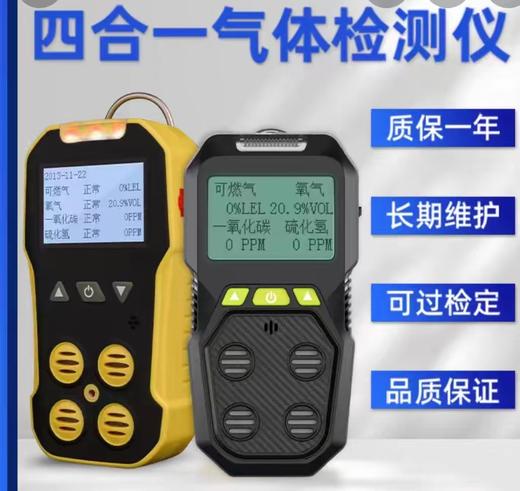 【HDXK】气体检测仪 商品图0