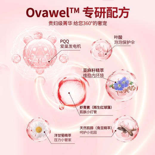 ⁶赛立复【巢倍欣】 红球藻+PQQ+叶酸+亚麻籽+肌醇+洋甘菊 30袋/盒 建议一天1-2包  SS06-QTT-SLF 商品图3