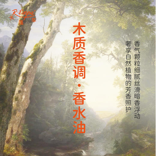 木质香调香水油 适用护体香护手油香润发丝沐浴香 大篷车精油 商品图2