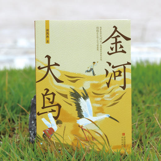 《金河大鸟》 商品图1