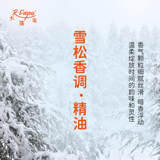 雪松香调·精油 植物精油香氛 适用香水 护肤洗护产品 大篷车精油 商品图1