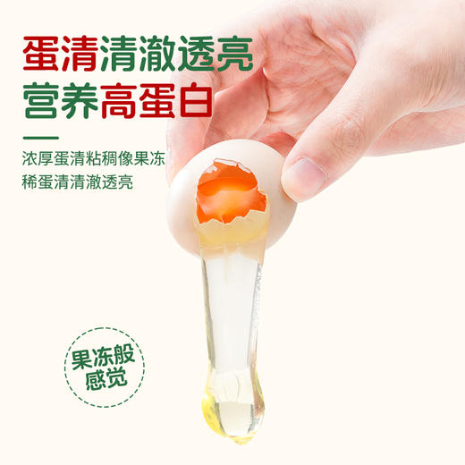 (百搭鲜味)杨博士原切童子鸡+30土鸡蛋 商品图3
