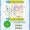 《万物有科学》全8册 6-12岁 清华大学物理系副教授审定 物理-地理-化学-天文-人体 5大学科 11个主题 800个知识点 商品缩略图6