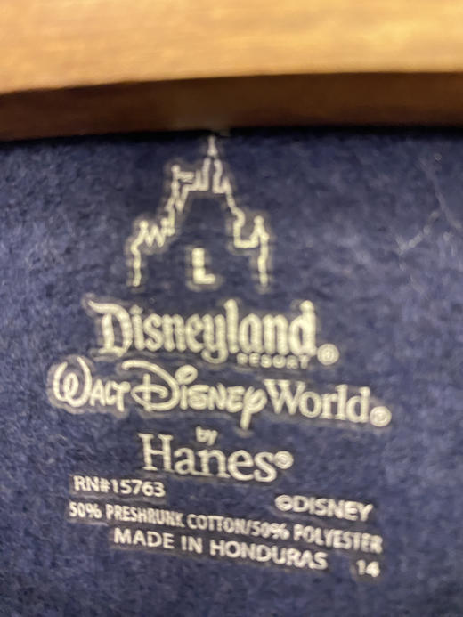 Disney 迪士尼 by Hanes 卫衣 _SLSS(L) 商品图2