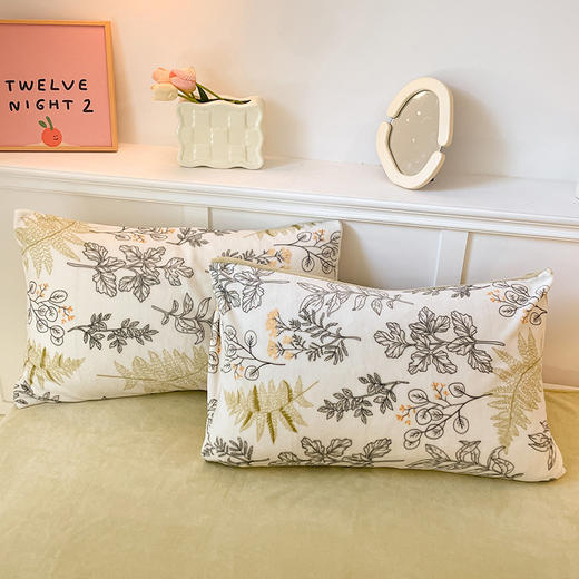 占姆士奥莱款【牛奶绒四件套】秋冬加厚小清新法莱绒床单 床笠被套三件套 床上用品 商品图1