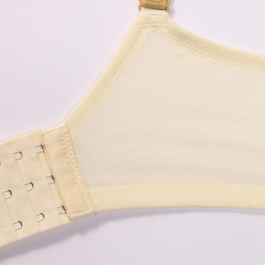 都市丽人内衣聚拢升杯常规文胸蕾丝中厚文胸3/4杯三排扣树脂胶圈YBT1C2 商品图8