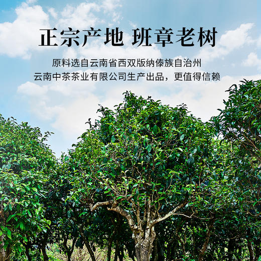 魏氏陈普洱老茶 陈年班章经典 2006年  357克/饼（礼盒可选） 商品图1