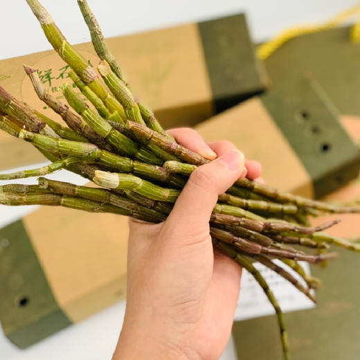 雲巅源府新鲜铁皮石斛条 250g/套 配手提袋 赠1盒25g铁皮石斛花 商品图2