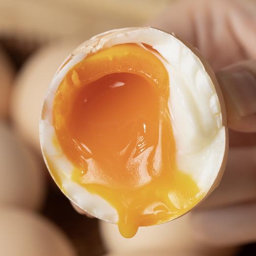 乘乘小巨蛋·富有机硒鸡蛋|7个“0”认证，远超国标！营养和口感都绝了 商品图0