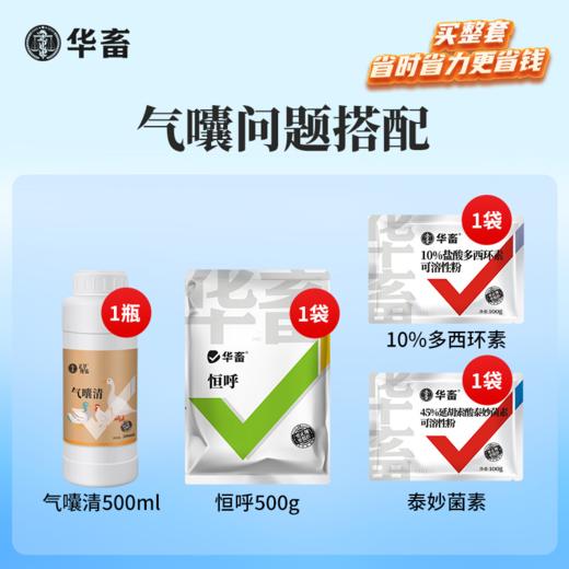 【气囔问题搭配】恒呼+气囔清+10%多西环素+泰妙菌素 商品图0