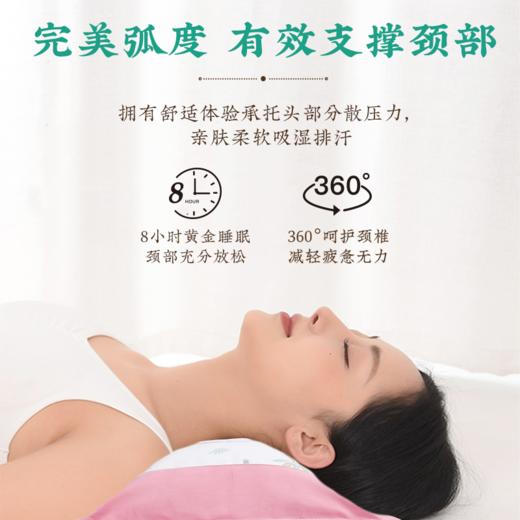 鼻舒中药枕头鼻塞枕成人儿童小儿腺样体防过敏鼻涕肥大鼻 商品图3