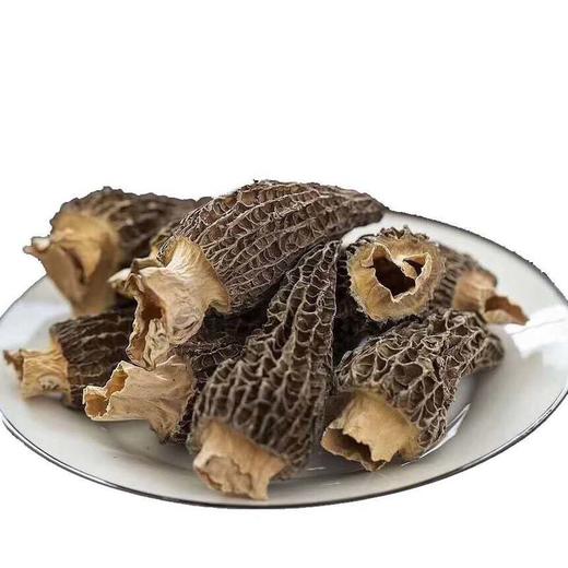 四川广元山珍高山生态羊肚菌25g 商品图0