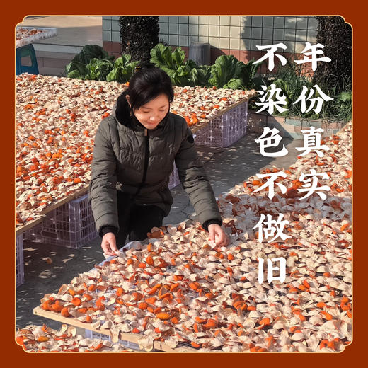【带收藏证】道地大红袍老树川陈皮 红橘皮 古法技艺 非广陈皮 K仅参与会员折扣 商品图3