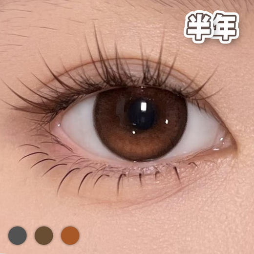 #Curly486 小熊饼干 棕/巧/黑 14.2mm【1片装】进口-舒适推荐 / 半年抛 商品图2