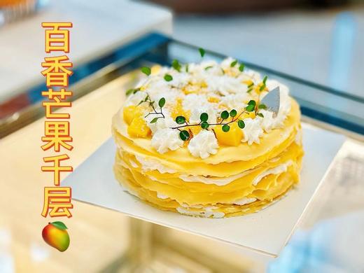 芒果千层 商品图0