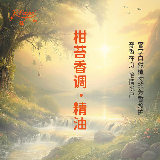 柑苔香调·精油 植物精油香氛 适用香水 护肤洗护产品 大篷车精油 商品图2