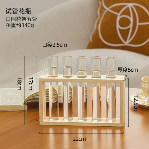 网红感一排试管透明玻璃花瓶水养插花轻奢小花瓶 商品图5