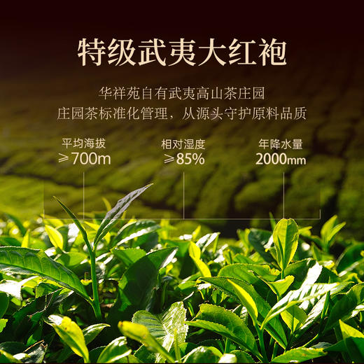 华祥苑-贵宾茶特级武夷山岩茶大红袍200g礼盒 商品图5