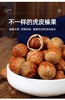 皮薄大颗更过瘾！【东北虎皮榛子】果仁饱满风味佳 口感偏糯 品质上等 酥酥脆脆 美味健康 商品缩略图6