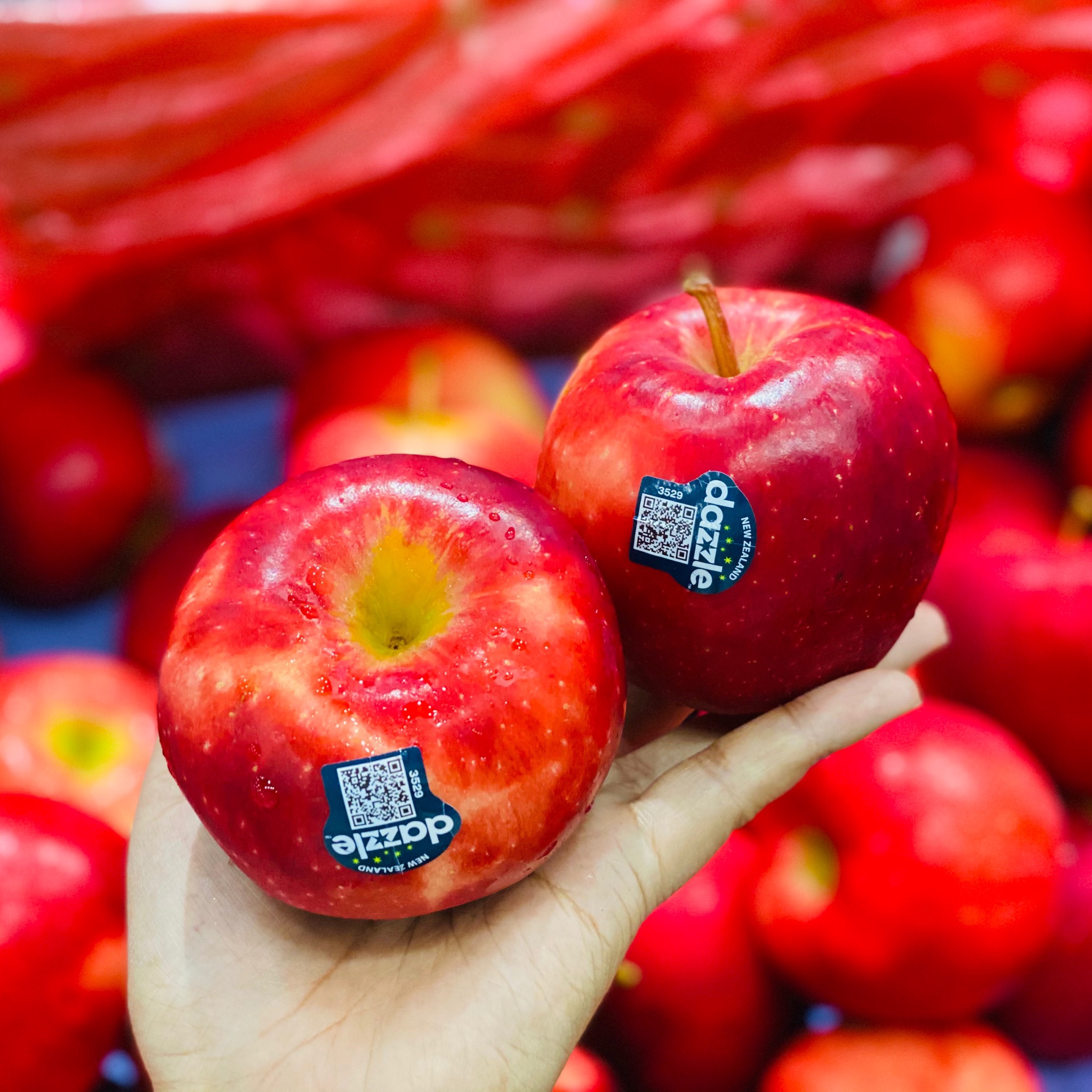 新西兰丹硕苹果🍎