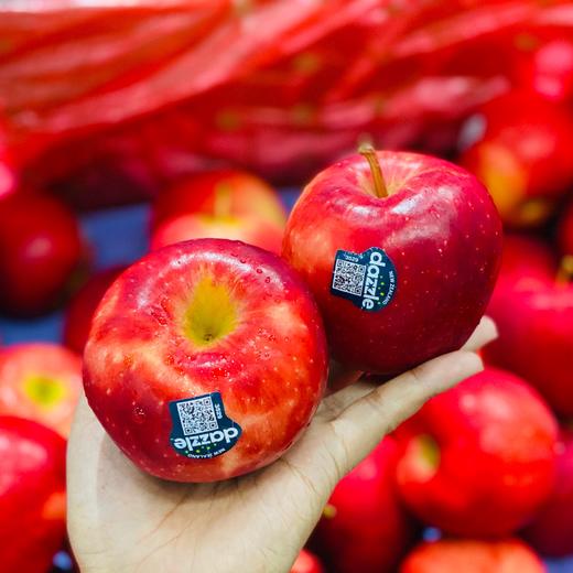 新西兰丹硕苹果🍎 商品图0