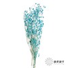 干花 | 情人果蒂芙尼蓝 商品缩略图2