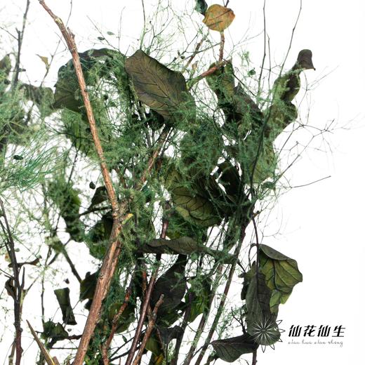 干花 | 雾中情人绿 商品图0