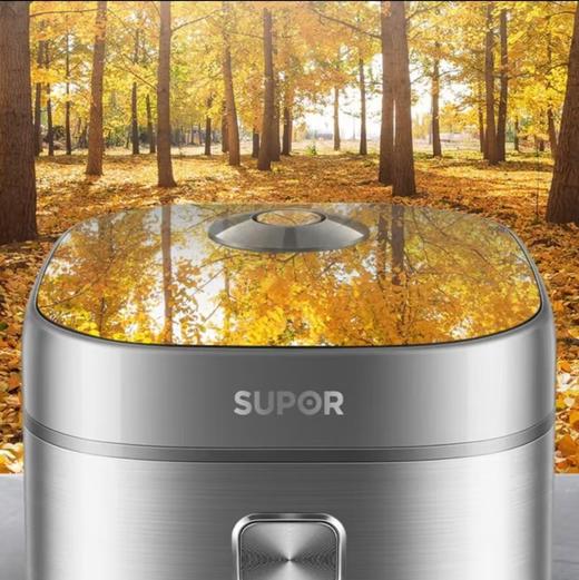 【小家电】苏泊尔.电饭煲SF40FC99 商品图4