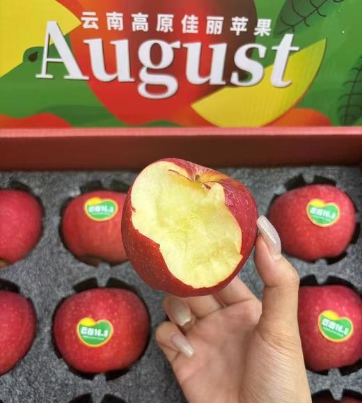 云谷168云南高原佳丽苹果约5斤12头装 |水果 商品图1