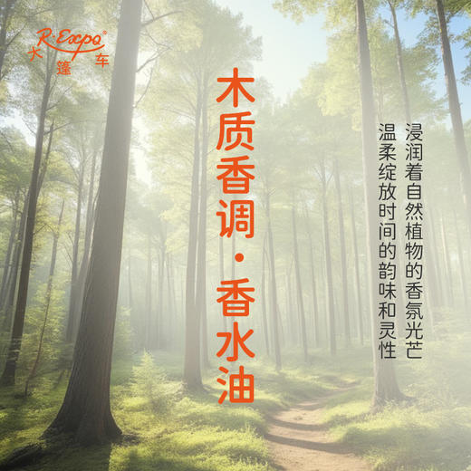 木质香调香水油 适用护体香护手油香润发丝沐浴香 大篷车精油 商品图1