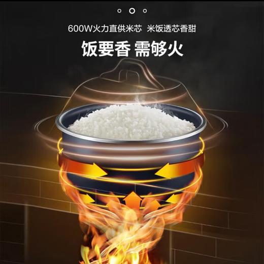 【小家电】苏泊尔·电饭煲SF30FC71 商品图5
